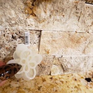 CROCS Translucent White Floral Jibbitz Charm